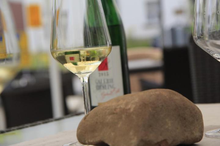 Hotel Galerie Riesling Trittenheim Zewnętrze zdjęcie